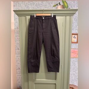 Everlane Utility Barrel pant